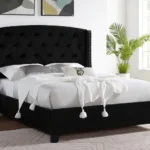 EVA BLACK Upholistered BED